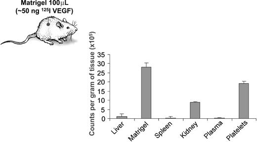 Figure 4. Platelets selectively take up VEGF, without a corresponding increase of the protein in plasma. VEGF protein was labeled with radioactive iodine, and approximately 50 ng of 125I-labeled VEGF in 100 μL of Matrigel was implanted subcutaneously in the left flanks of C57/BL6 mice. Three days later, the mice were killed and 1 mL of citrated blood, as well as liver, kidney, spleen, and Matrigel pellet were collected. The radioactivity of each tissue sample was quantified on a gamma counter, the value corrected for differences in tissue weight, and expressed as counts per minute per gram of tissue. The experiment was repeated on 2 separate occasions with 5 mice per experiment, and the graph represents mean plus or minus SE of 1 of the experiments.