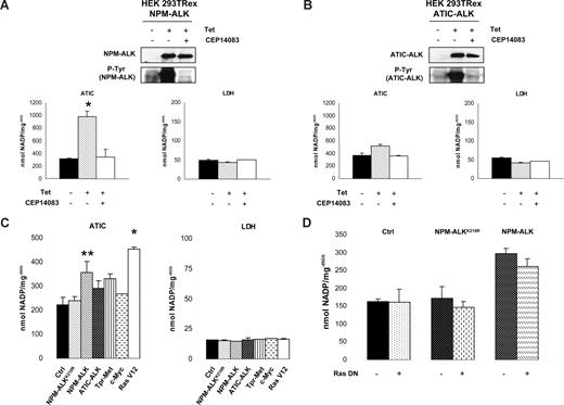 Figure 5. The ATIC activity is enhanced by NPM-ALK in HEK-293T-Rex cells. (A) NPM-ALK inducible HEK-293T-Rex cells were induced with tetracycline with and without CEP14083 ALK inhibitor. p-NPM-ALK was determined by Western blotting using anti–p-ALK antibodies. ATIC and LDH enzymatic activities were evaluated; *P < .001. (B) HEK-293T-Rex cells containing an inducible ATIC-ALK construct were induced with tetracycline and/or with CEP14083. Western blotting analysis confirmed ALK expression and phosphorylation. Enzymatic activity of ATIC and LDH was evaluated. (C) Cell lysates of transiently transfected HEK-293T cells (NPM-ALK, NPM-ALKK210R, ATIC-ALK, TPR-Met, c-myc, and the self-activating form of Ras, Ras V12) were tested for their ATIC and LDH enzymatic activity. *P < .001, **P < .05. (D) Cell lysates from transiently transfected HEK-293T cells with NPM-ALK, NPM-ALKK210R, and/or a Ras DN, respectively, were tested for their ATIC and LDH enzymatic activity.