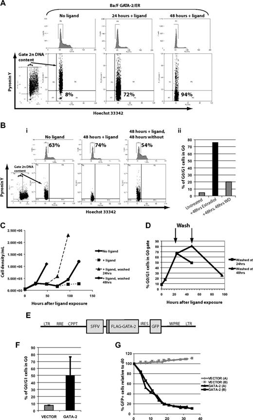 Figure 1. Ligand-activated GATA-2/ER chimeric form reversibly induced quiescence in a manner reproduced with constitutive lentiviral expression of FLAG–GATA-2. (A) β-Estradiol (1 μM) induces G0/G1 accumulation of Ba/F3 cells expressing GATA-2/ER (top) concomitant with increased quiescence as measured by DNA staining with Hoechst 33342 and polysomal RNA staining with Pyronin Y (bottom). One of 3 representative experiments is shown, with the percentage of G0/G1 cells falling in the G0 gate indicated. (Bi) Withdrawal of ligand allows cells to progress into S phase and to exit quiescence, as assessed by reduced G0/G1 proportions indicated (top) and increased staining with Pyronin Y (bottom). (Bii) Proportion of G0/G1 cells falling in the G0 gate from panel Bi are plotted. One of 2 representative experiments is shown. (C) Cell growth, attenuated by GATA-2/ER activation, resumes on ligand withdrawal. (D) Return to normal cell growth lags behind reduction in the proportion of quiescent cells as measured by Hoechst/Pyronin Y. (E) Bicistronic lentiviral expression construct used to drive enforced expression of FLAG-tagged GATA-2 and GFP. (F) Constitutive expression of FLAG–GATA-2 also increases quiescence of Ba/F3 cells growing in IL-3. The mean of 2 representative experiments is shown. Error bars indicate SEM. (G) The GATA-2–transduced cells are outgrown by untransduced cells in a GATA-2–dependent manner; n = 2 experiments.