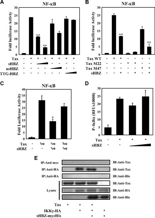 Figure 2. sHBZ suppressed Tax-mediated NF-κB activation but did not interfere with the Tax/IKKγ complex. (A,B) sHBZ repressed Tax-induced NF-κB activation. Jurkat cells were cotransfected with κB-Luc and phRL-TK, with or without 1 μg pCG-Tax, pCG-Tax M47, pCG Tax M22, and with 1 or 3 μg pME18Sneo-sHBZ, usHBZ, or TTG-HBZ. After 48 hours, luciferase activity was measured. (C) Tax overexpression overcame sHBZ-mediated suppression of NF-κB activation. Jurkat cells were cotransfected with κB-Luc and phRL-TK, with or without pCG-Tax and pME18Sneo-sHBZ. The total amount of DNA was equalized by adding empty vectors. (D) sHBZ could not modulate the Tax-driven phosphorylation of IκBα. Jurkat cells were transfected with pCG-Tax and pME18Sneo-sHBZ. Cell lysates were subjected to FunctionELISA IκBα assay. (E) sHBZ did not influence the interaction between Tax and IKKγ. 293FT cells were transfected with the indicated cDNA expression constructs. Cell lysates were subjected to immunoprecipitation (IP) with anti–c-Myc and anti-HA followed by immunoblotting (IB) using anti-Tax or anti-His, respectively. The expression levels of Tax, IKKγ and sHBZ were analyzed. *P < .05; **P < .01.