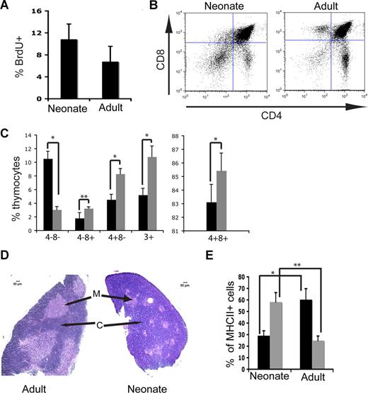 Figure 1. Thymocyte and TEC profiles in neonatal and adult thymus. (A) Average frequency of BrdU incorporation in cells from total thymi from 3 independent pooled litters of neonates and 3 individual adult animals (P = .01). (B) Representative FACS profiles of neonatal (left panel) and adult (right panel) thymocytes after gating on CD45+ cells. (C) Thymocyte distribution (mean and SD, shown as % of total CD45+ cells) from neonatal (n = 5) and adult (n = 3) mice. *P < .001; **P = .03. (D) H&E stain of sections of adult and neonatal thymus acquired according to “Morphologic and IF studies.” Lighter colored areas are medulla (M) and darker areas are cortex (C). (E) Frequency of TEC subsets, based on FACS profiles gated from CD45−MHCII+ cells. ■ indicates UEA-1+ mTECs; , Ly51+ cTECs. *P = .006; **P = .003. n = 3 pooled neonatal, and n = 3 individual adult samples. Error bars represent standard deviation.