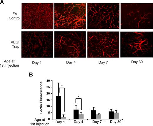 Figure 3. The vasculature of the neonatal thymus is VEGF dependent. (A) Tomato lectin staining acquired by confocal microscopy as described in “Methods” showing the vasculature of mice injected with VEGF-Trap (bottom panels) or hFc control (top panels) at 1, 4, 7, and 30 days of age. (B) Quantitation of tomato lectin fluorescence above the control (no lectin staining) threshold. ■ indicates controls; , VEGF-Trap. *P = .001. Error bars represent standard deviation.