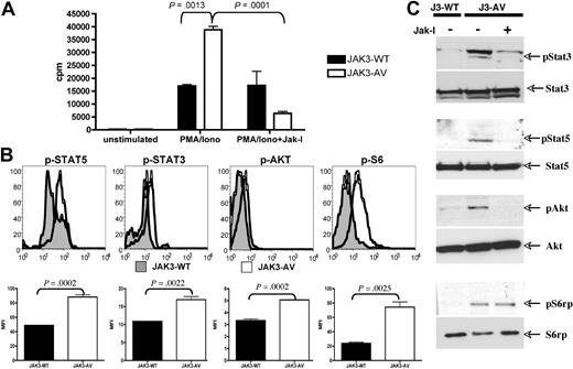 Figure 3. JAK3-AV confers enhanced proliferative capacities. (A) 3H-thymidine incorporation after 60 hours of stimulation with PMA/ionomycin of purified CD8+ T cells from JAK3-WT (■) and JAK3-AV (□) mice. Rightmost bars show effect of pharmacologic inhibition of JAK3 with JAK inhibitor I (JAK-I). Bar graphs represent the average and standard deviation of 3 independent experiments performed in triplicate. (B) Assessment of phosphorylation status of downstream effectors of JAK3 by intracellular staining of JAK3-WT (shaded histogram) and JAK3-AV (open histogram) splenocytes with phosphospecific antibodies. Histograms display a representative experiment gated on CD8+ T cells (n = 6). Bar graphs represent the average and standard deviation of 3 independent experiments for each phosphoprotein. (C) Western blot from bone marrow lysates from JAK3-WT or JAK3-AV animals shows constitutive phosphorylation of JAK3 downstream targets in the latter. The last lane shows inhibition of phosphorylation by JAK-I.