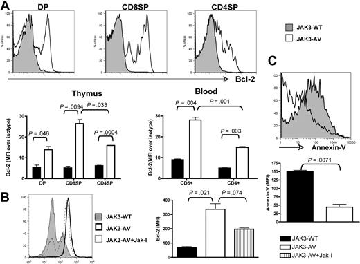 Figure 4. JAK3-AV–expressing T cells show decreased apoptosis and increased Bcl-2 expression. (A) Flow cytometric analysis of intracellular Bcl-2 levels in 3 different thymocyte populations (DP and SP) of JAK3-WT (shaded histogram) versus JAK3-AV (open histogram) animals. Bottom panel shows mean fluorescence intensity of the Bcl-2 signal normalized against an isotype control antibody in thymus and blood of JAK3-WT (■) and JAK3-AV (□) mice. All analyses are gated on GFP; data represent the average and standard deviation of 4 independent experiments. (B) Effect of JAK inhibitor I on Bcl-2 levels in CD8 SP thymocytes shown as a histogram and as bar graphs representing the mean and standard deviation of 2 independent animals for each group performed in duplicate. (C) Annexin-V staining for assessment of apoptosis levels in JAK3-WT versus JAK-3 AV CD8+ thymocytes. Analyses are gated on GFP+CD8+7-AAD− thymocytes. Bar graphs represent the mean and standard deviation of at least 2 independent experiments each performed in duplicate.