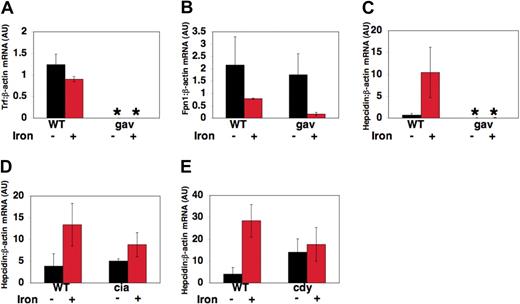 Figure 6. Changes in gene expression in gavi and other hypochromic mutants. At 52 hpf, zebrafish embryos were either injected with iron dextran or anesthetized, but not injected. RNA was obtained from pools of anemic mutants and their wild-type siblings at 72 hours after fertilization, 18 hours after iron injection. Quantitative multiplex real-time RT-PCR, normalized to β-actin expression, was performed for transferrin-a (A), fpn1 (B), and hepcidin (C-E) in gavIT029 (A-C), TfR1a-deficient chianti (ciaTu25f) mutants (D) and DMT1-deficient chardonnay (cdyTe216) mutants (E). Gene expression is reported as fold increase over calibrator, a WT uninjected control pool. *P < .05 compared with WT uninjected controls.