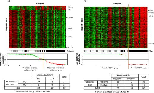 Figure 2. Supervised classification of cHL samples based on the “clinical outcome” signature and on the “EBV status” signature. (A) The classification of 52 informative cHL adult samples using the molecular signature of 501 probe sets correlated with clinical outcome. Thirty-one samples were from patients with favorable outcome (FO) and 21 samples from patients with unfavorable outcome (UO). Expression data and clinical features (top panel) are depicted as in Figure 1. Probe sets are ordered from top to bottom by their decreasing discriminating score. Tumor samples are ordered from left to right according to their LDA function score. The solid orange line indicates the threshold 0 that separates the 2 predicted classes of samples referred to as “predicted FO group” (at the left of the line) and “predicted UO group” (right to the line). The bottom panel represents the LDA posterior probability for each sample to belong to the FO group (y-axis), with the samples (x-axis) ranked according to their LDA function score. The observed clinical outcome is indicated by colored dots: green indicates FO; red, UO. There was a statistically significant correlation between the observed clinical outcome and the predicted clinical outcome based on the corresponding gene signature, as shown by the resulting cross table. With a representation similar to panel A, panel B shows the molecular classification of 53 informative cHL samples using the 425 probe sets identified as differentially expressed between the 18 EBV+ samples and the 35 EBV− samples (top panel). The LDA posterior probability (y-axis) is the probability for each sample to belong to the EBV− group (bottom panel). The observed EBV status is indicated by colored dots: green indicates negative; red, positive. The statistical correlation between the observed EBV status and the predicted EBV status was highly significant, as shown by the resulting cross table.