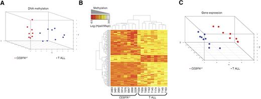 Figure 5. CEBPAsil leukemias differ genetically and epigenetically from T-ALL. (A) Principal component analysis of DNA methylation data comparing 8 immature acute myeloid/T lymphoid CEBPAsil cases with a selection of 9 T-ALL cases representing a spectrum of maturation stages, showing separate clustering of the 2 groups of leukemias. (B) Two-dimensional hierarchical clustering of genes differentially methylated between the CEBPAsil leukemias and the T-ALL cases, illustrated by a heatmap. Cases are represented in the columns; probe sets are represented in the rows. Supervised analysis identified 213 differentially methylated probe sets (199 genes). CEBPAsil cases are clustered in the left node and display a predominance of hypomethylated probe sets. (C) Principal component analysis of gene expression data for the same cases also demonstrates separate clustering of the 2 groups of leukemias, indicating that these 2 groups display distinct expression profiles.