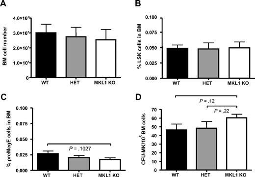 Figure 4. Mkl1 deficiency does not affect LSK, pre-MegE cell numbers, and CFU-MK formation. (A) Two tibias and 1 femur from each mouse were collected. After BM harvest and red blood cell lysis, total cell numbers were counted (n = 6 per genotype). (B) Comparison of percentage of LSK cells in WT, HET, and Mkl1 KO BM (n = 9 per genotype). (C) Comparison of percentage of pre-MegE cells in WT, HET, and Mkl1 KO BM (n = 9 per genotype). (D) CFU-MK potential from total BM (n = 6 per genotype).