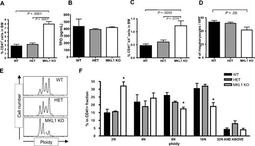 Figure 5. Mkl1 deficiency leads to an increased percentage of committed CD41+c-kit+ megakaryocytic progenitors and a decreased percentage of mature high-ploidy megakaryocytes. (A) Comparison of percentages of CD41+ cells in WT, HET, and Mkl1 KO BM (n = 6 per genotype). (B) Comparison of serum TPO concentration (n = 3 per genotype). (C) Comparison of percentages of CD41+ c-kit+ cells in WT, HET, and Mkl1 KO BM (n = 6 per genotype). (D) Comparison of numbers of megakaryocytes per high-power field in the femurs of WT, HET, and Mkl1 KO mice (n = 2 per genotype). (E,F) In vivo ploidy analysis of CD41-positive BM cells taken from WT, HET, and Mkl1 KO mice (n = 6 in WT and HET; n = 8 in Mkl1 KO mice). *P < .05 from both WT versus KO and HET versus KO.
