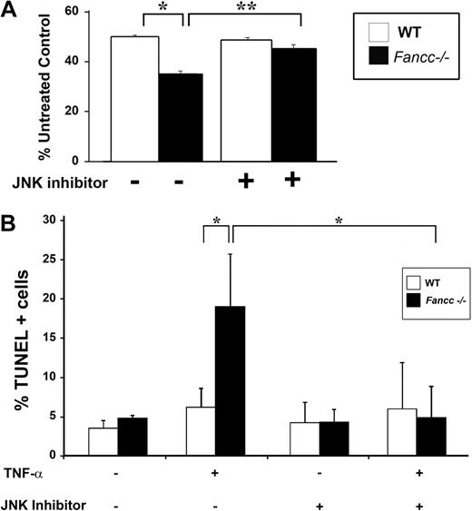 Figure 3. Inhibition of JNK enhances survival of Fancc−/− progenitors treated with TNF-α. (A) JNK inhibitor and progenitor assays. WT and Fancc−/− low-density MNCs were cultured in colony assays with either JNK III or a DMSO control in the presence or absence of 10 ng/mL TNF-α. Data are shown as a percentage of untreated control conditions where no TNF-α was added; n = 3 mice/genotype. *P < .01; **P < .002. (B) TNF-α–induced apoptosis in c-kit+ cells. WT and Fancc−/− c-kit+ cells were either pretreated with JNK III or a DMSO control before a 24-hour exposure to 10 ng/mL TNF-α. Cytospins of cells from each experimental group were made before analyzing apoptosis using a TUNEL assay; n = 3. *P < .03.