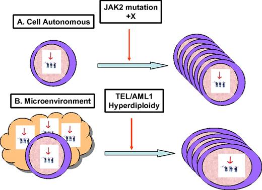 Figure 2. Hypotheses to explain the pathogenesis of ALL in DS. (A) Constitutional trisomy 21 may enhance proliferation or survival of preleukemic lymphoid progenitors. An additional specific genetic event, such as a JAK2 mutation or additional chromosome X, cooperates with trisomy 21 to induce leukemia. This model is similar to the cooperation with GATA1 mutations in DS myeloid disorders. (B) The unique microenvironment in children with DS, caused by the presence of trisomy 21 in all body cells, results in an increased risk for usual childhood leukemogenic genetic events, such as TEL/AML1 and hyperdiploidy, and an increase in the common subtypes of childhood ALL. These 2 hypotheses are not mutually exclusive. Note that the latter model is speculative, but is presented as a hypothetical possibility to stimulate discussion and research in this area.