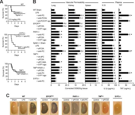Figure 5. Loss of the endogenous aPC-PAR1 signaling pathway sensitizes mice to increased vascular leakage and lethality in sublethal LPS challenge. (A) Wild-type (WT), PAR1−/−, Sphk1−/−, S1P3−/−, TMPro, or TMPro/PAR1−/− mice were challenged with low dose, 3.5 mg/kg LPS and, where indicated, received anti-PC TVM1 antibody at 10 hours after LPS administration (n = 8-12; P < .01 survival difference between challenged WT and Sphk1−/−, PAR1−/−, TMPro, or TMPro/PAR1−/−). (B) Vascular permeability in lung, kidney, and spleen, and plasma levels of IL1β and TAT were determined at 18 hours after 3.5-mg/kg LPS challenge. Where indicated, treatments were given 10 hours after LPS challenge (mean ± SD; n = 3–5 mice/group; * indicates different from LPS-treated WT, P < .001; # indicates different from anti-PC TVM1-treated PAR1−/− or Sphk1−/− LPS-challenged groups, P < .005 by ANOVA). (C) Representative views of lower right lung lobes after Evans blue injections and perfusion. Scale bar equals 5 mm.