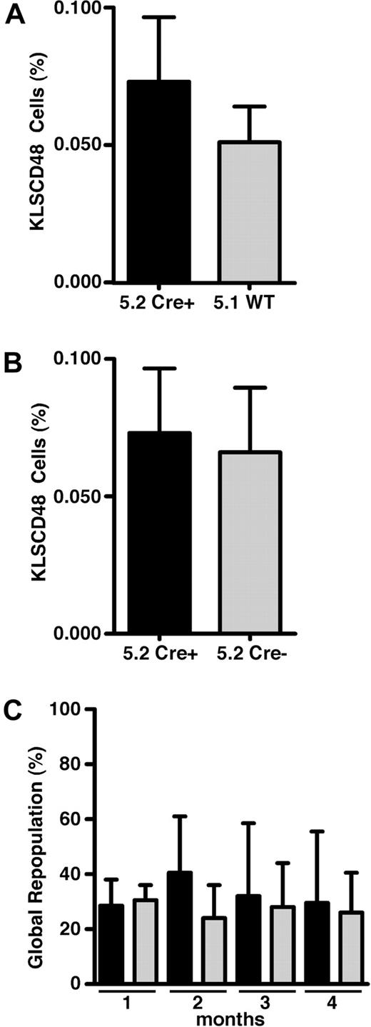 Figure 2. In situ deletion of SHIP does not compromise homing and secondary repopulating capacity of HSCs. (A) Flow cytometric quantitation of the relative contribution to KLSCD48 HSC by MxCreSHIPflox/flox (CD45.2) or WT-Ly5.1 (CD45.1) cells in the BM of MxCreSHIPflox/flox (CD45.2):WT-Ly5.1 (CD45.1) chimeras 5 months after poly I:C treatment (n ≥ 3). BM cells were stained with markers for the Lineage−/lowc-Kit+Sca1+CD48− (KLSCD48) phenotype.4 (B) Flow cytometric quantitation of the relative contribution to KLSCD48 HSCs by MxCreSHIPflox/flox (CD45.2) cells in the BM of MxCreSHIPflox/flox (CD45.2):WT-Ly5.1 (CD45.1) chimeras versus SHIPflox/flox (CD45.2) cells in SHIPflox/flox (CD45.2):WT-Ly5.1 (CD45.1) control chimeras. Both sets of chimeras were analyzed 5 months after poly I:C treatment (n ≥ 3). (C) Percentage global repopulation of PB at the indicated times by MxCreSHIPflox/flox (CD45.2) and WT-Ly5.1 (CD45.1) HSCs after serial transplantation of 106 WBM cells from MxCreSHIPflox/flox (CD45.2):WT-Ly5.1 (CD45.1) chimeras 5 months after poly I:C treatment (n ≥ 3). Significance was established using the unpaired Student t test. Errors shown represent the SEM; ■, cells derived from MxCreSHIPflox/flox BM (Cre+); , cells derived from WT-Ly5.1 BM (WT) or SHIPflox/flox (Cre−).