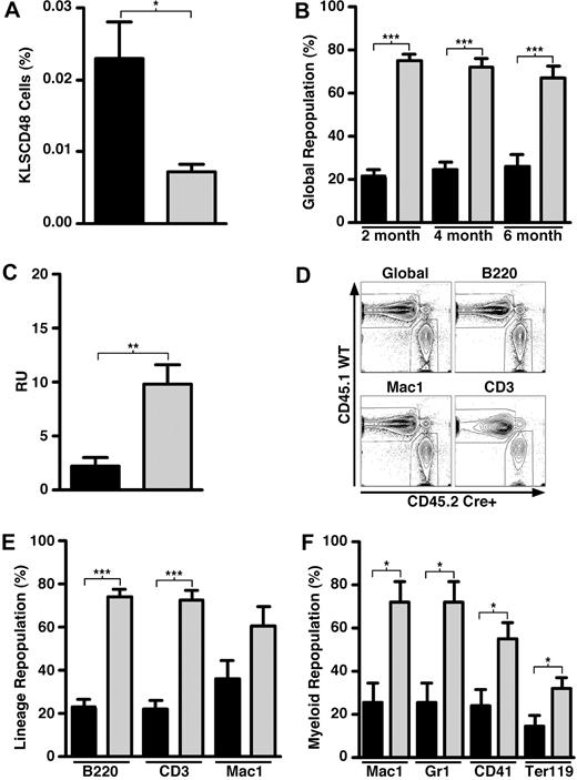 Figure 3. Systemic induction of SHIP deficiency compromises the capacity of HSCs to mediate long-term multilineage repopulation. (A) Flow cytometric quantitation of KLSCD48 HSCs in the BM of MxCreSHIPflox/flox (CD45.2) mice and SHIPflox/flox (CD45.2) controls 21 days after poly I:C treatment (n ≥ 3). (B) Percentage of global repopulation in PB at the indicated times after transplantation by WBM cells from SHIP-ablated MxCreSHIPflox/flox (CD45.2) donors and WT-Ly5.1 (CD45.1) control donors (n ≥ 9). (C) RU activity from SHIP-ablated MxCreSHIPflox/flox (CD45.2) donors and WT-Ly5.1 (CD45.1) control donors (n ≥ 9). (D) Representative dual-color contour plots that illustrate the level of PB reconstitution at 24 weeks after transplantation from SHIP-ablated MxCreSHIPflox/flox (CD45.2) BM donors and WT-Ly5.1 (CD45.1) BM competitor donors. (E) Percentage PB repopulation for the indicated lymphoid or myeloid lineage by WBM cells in a competitive transplantation of SHIP-ablated MxCreSHIPflox/flox (CD45.2) and WT-Ly5.1 (CD45.1) BM competitor cells (n ≥ 9). Before death, the level of donor reconstitution was assessed in PB. (F) Percentage BM repopulation for the indicated myeloid (Mac1), granulocytic (Gr1), megakaryocytic (CD41), or erythroid (Ter119) lineage by WBM cells in a competitive transplantation of SHIP-ablated MxCreSHIPflox/flox (CD45.2) and WT-Ly5.1 (CD45.1) BM competitor cells (n ≥ 9). At death, the level of donor reconstitution was assessed in BM. Significance was established using the unpaired Student t test (*P < .05; **P < .005; ***P < .001). Errors shown represent the SEM; ■, cells derived from MxCreSHIPflox/flox BM; , cells derived from SHIPflox/flox (A) or WT-Ly5.1 BM (B,C,E,F).