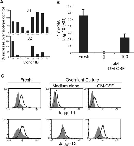Figure 4. J1 and J2 protein expression is influenced by GM-CSF. (A) Saponin-permeabilized eosinophils were analyzed by flow cytometry for expression of J1 and J2. Data are presented as percentage of increase in MFI over isotype control. (B) RNA extracted from eosinophils immediately after isolation (Fresh) or after overnight culture in the presence or absence of 100 pM GM-CSF was evaluated by real-time RT-PCR for J1 mRNA expression. Data are presented as the log 10 of the relative quantification, using overnight culture in medium alone as the baseline value. Data are from 1 experiment representative of 3 separate experiments. (C) Total J1 (top panels) or J2 (bottom panels) protein was detected in saponin-permeabilized eosinophils immediately after isolation (Fresh) or after overnight culture in the presence or absence of 100 pM GM-CSF. Shaded histograms = isotype control.