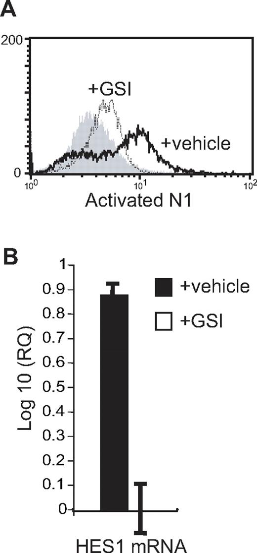 Figure 5. Eosinophil-expressed Notch ligands are functional. (A) Eosinophils were stimulated for 60 minutes with 100 pM GM-CSF in the presence of 10 μM GSI (dotted line) or vehicle alone (heavy line) before permeabilization and detection by flow cytometry of the cleaved, intracellular domain of activated Notch receptor 1. Shaded histogram represents isotype control. (B) RNA was extracted from eosinophils after overnight stimulation with 100 pM GM-CSF in the presence of 10 μM GSI or vehicle control, and analyzed by real-time RT-PCR for the presence of HES1 mRNA. Data are presented as the log 10 of the relative quantification using the GSI-treated sample as the baseline value. Data are from a representative of 3 separate experiments.