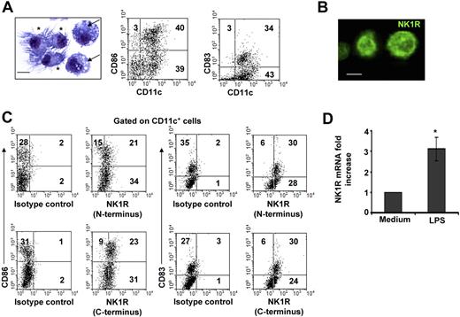 Figure 1. BMDCs express NK1R. (A) Microscopic and phenotypic characteristics of day–6 BMDCs. Cytospin showing immature DCs (→) identified by round nuclei and short membrane prolongations and mature DCs (*) with long membrane processes and bean-shaped nuclei. Hema-3 stain, ×500; scale bar = 5 μm. Dot plots of BMDCs illustrating the percentages (numbers in dot plots) of mature (CD11c+CD86high or CD11c+CD83+) and immature (CD11c+CD86−/low or CD11c+CD83−) DCs. (B,C) Expression of NK1R by BMDCs. (B) Cytospin of purified BMDCs showing the expression of NK1R on their cell surface. Fluorescence microscopy, ×500; scale bar equals 5 μm. (C) NK1R expression by CD11c+CD86+CD83+ mature and CD11c+CD86−CD83− immature DCs analyzed by FACS. Mature and immature BMDCs express the N-terminal (top panels) and the C-terminal (bottom panels) motifs of the NK1R, indicating expression of the full-length functional NK1R. (A-C) Data are representative of 5 independent experiments. (D) qRT-PCR analysis of NK1R mRNA transcripts in BMDCs cultured with or without LPS. *P < .05. Means (± SD) of 3 independent experiments are shown.