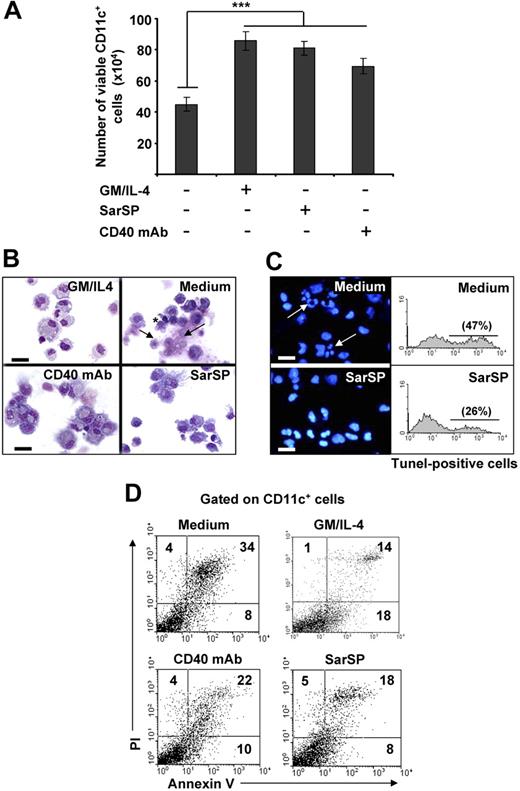 Figure 2. Agonistic signaling through NK1R in BMDCs prevents apoptosis. (A) Number of viable CD11c+ BMDCs recovered 24 hours after culture in different conditions. ***P < .001. Means (± SD) of 6 independent experiments are shown. (B,C) Morphological and nuclear characteristics of apoptosis by BMDCs harvested 24 hours after culture in different conditions. (B) Morphological analysis of apoptosis as evaluated by cytospins of CD11c+ BMDCs stained with Hema-3. (C) Nuclear analysis of apoptosis as determined by cytospins of CD11c+ BMDCs stained with the nuclear dye DAPI (left panels) or suspensions of CD11c+ BMDCs stained with TUNEL (right panels). Withdrawal of GM-CSF (GM) and IL-4 (Medium) induces apoptosis of BMDCs characterized by surface membrane blebs (B top right panel, *), nuclear breakage (B top panel, →), chromatin condensation, and DNA fragmentation (C top panels, arrows), ×500; scale bar equals 20 μm. (D) Quantification of apoptosis in CD11c+ BMDCs by FACS analysis of annexin V and PI labeling. Numbers in dot-plots represent percentage of cells. Signaling via NK1R with SarSP (10−9 mol/L) prevents apoptosis of BMDCs to a similar extent as signaling via CD40 or addition of GM and IL-4 (positive controls). Data are representative of 10 independent experiments.