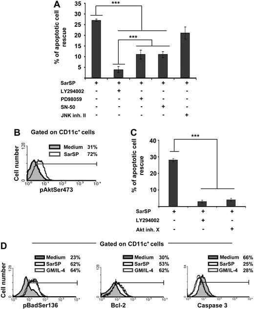 Figure 4. Signaling BMDCs via NK1R prevents apoptosis through activation of the PI3K-Akt cascade. (A) Bar diagram representing the effect of intracellular pathway blockade on the antiapoptotic effect exerted by SarSP on CD11c+ BMDCs. Before culture with or without SarSP, BMDCs were left untreated (control) or incubated with the cell-permeable inhibitors LY294002 (PI3K), PD98059 (ERK), SN-50 (NFκB), or JNK inhibitor II (JNK-AP1). ***P < .001. (B) FACS analysis showing the level of pAktSer473 expression by CD11c+ BMDCs cultured in the presence of SarSP (gray empty histogram) or medium alone (gray filled histogram). (C) Comparative analysis of the effects of LY294002 and Akt inhibitor X (pAktSer473 inhibitor) on the antiapoptotic effect of SarSP on BMDCs. ***P < .001. (D) FACS analysis illustrating the level of Bcl-2, pBadSer136, and active caspase 3 expression by CD11c+ BMDCs cultured in the presence of SarSP (black empty histogram), GM and IL-4 (gray empty histogram), or medium alone (gray filled histogram). (A, C) Means (± SD) of 4 independent experiments are shown. (B, D) Data are representative of 4 independent experiments. Numbers in histograms indicate percentage of CD11c+ BMDCs.
