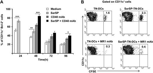 Figure 6. NK1R and CD40 signaling act synergistically to promote BMDC survival. (A) Bar-diagram representing the percentage of CD11c+ BMDCs expressing Bcl-2 after culture in medium alone or with SarSP for different time points. Agonistic CD40 mAb was added at 24 hours to cultures, and the percentage of CD11c+ BMDCs expressing Bcl-2 was analyzed at each time point. *P < .05, **P < .01, and ***P < .001. Means (± SD) of 3 independent experiments are shown. (B) Contour-plots illustrating the presence of SarSP-TN-DCs or TN-DCs (CD11c+CFSE+) in DLNs 5d after adoptive transference of DCs in B6 mice treated with or without the CD154 (CD40L) neutralizing MR1 mAb. Data are representative of 3 independent experiments.