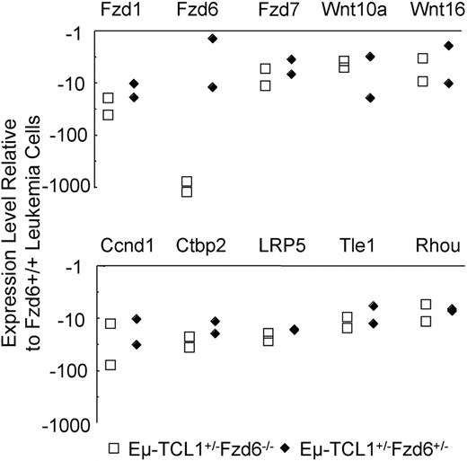 Figure 7. Impact of Fzd6 KO on the expression of Wnt, Fzd, and other Wnt pathway components on Eμ-TCL1–induced tumor B cells. Total RNA was isolated from flow cytometry–sorted CD19+CD5+ tumor B cells of age and tumor burden matched Eμ-TCL1+/−Fzd6−/−, Eμ-TCL1+/−Fzd6+/−, and Eμ-TCL1+/−Fzd6+/+ tumor-bearing mice (n = 2). Gene expression of Wnt, Fzd families, and other components related with the Wnt pathway was determined by real-time PCR array of mouse Wnt signaling as described in “Real-time PCR array.” Data are shown as relative expression levels determined by normalizing the ΔCt values of the Eμ-TCL1+/−Fzd6−/− or Eμ-TCL1+/−Fzd6+/− against the ΔCt values for Eμ-TCL1+/−Fzd6+/+ mice for the specific genes. The genes, which on average show no less than 4-fold changes in both Eμ-TCL1+/−Fzd6−/− and Eμ-TCL1+/−Fzd6+/− mice, are indicated in the plot.