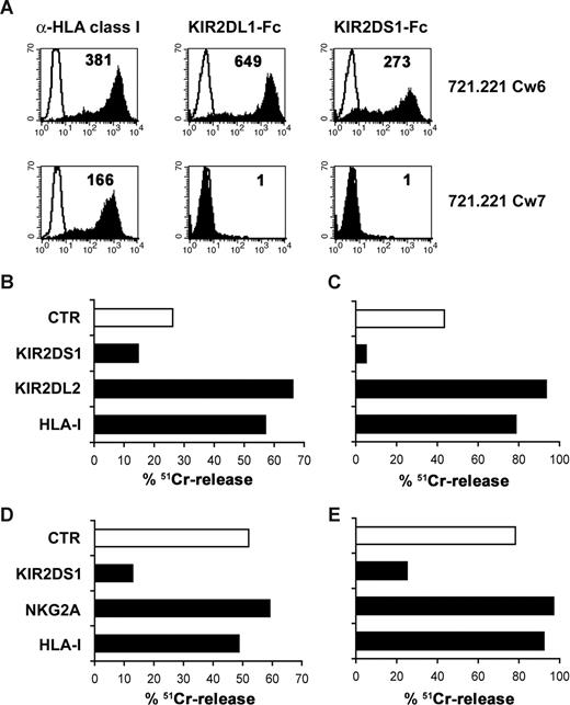 Figure 4. Positive role of KIR2DS1 in allorecognition. (A) 721.221 cells transfected with HLA-Cw6 (C2) or -Cw7 (C1) were stained with either W6/32 anti-HLA class I mAb followed by PE-conjugated isotype-specific goat anti–mouse mAb or with KIR2DL1-Fc or KIR2DS1-Fc soluble receptors followed by PE-conjugated goat anti–human second reagents. Empty profiles indicate staining with second reagent only. Numbers within histograms indicate MRFI. The representative 5R-13 (KIR2DS1+/L2+; B,C) and 5R-4 (KIR2DS1+/NKG2A+; D,E) clones, derived from recipient no. 5, 6 months after transplantation were tested against patient leukemia blasts (B,D), BOB (C; see Figure 2 legend for HLA-I genotypes) and LM expressing HLA-A*3,*29, -B*44,*35 (Bw4/Bw6), -Cw*4,*5 (C2/C2) (E) B-EBV cell lines. The cytolytic activity was evaluated in the absence (□) and in the presence (■) of mAb to the indicated molecules, such as 11PB6 (KIR2DS1), GL-183 (KIR2DL2), Y9 (CD94/NKG2A), and A6-136 (HLA-class I). Similar data were obtained also with HP-3E4 (KIR2DS1) and CH-L (KIR2DL2) mAb. The E:T ratio used was 10:1. The results are representative of 2 independent experiments; the standard deviation of the mean of the triplicates was less than 5%.