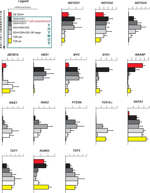 Figure 1. Gene expression analysis of human T-cell development. Quantitative real-time RT-PCR gene expression analysis of Notch and T cell–related genes in human CB CD34+ and postnatal thymocyte subsets, ordered according to developmental progression along the T-cell pathway. Data shown are the mean plus or minus SEM from 2 to 5 sets of independent samples, relative to β-actin levels.