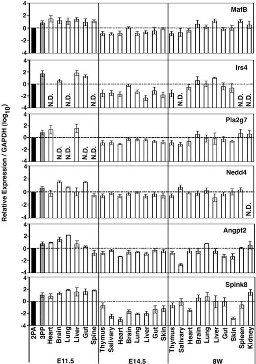Figure 2. Expression profiles of 3PP genes. Quantitative RT-PCR analysis of total cellular RNA from indicated tissues of E11.5, E14.5, and 8-week-old (8W) C57BL/6 mice. mRNA levels of indicated genes were normalized to GAPDH mRNA levels, and are indicated as the ratio to the amount expressed in E11.5 2PAs (■). Shown are geometric means (bars) and standard errors (lines) of 3 independent measurements.