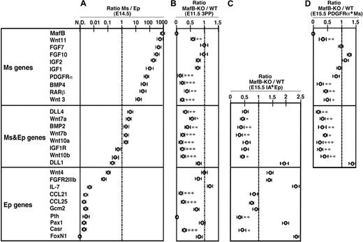 Figure 7. Gene expression profiles of thymic stromal cells in MafB-deficient mice. (A) Quantitative RT-PCR analysis of indicated genes in CD45−IA−PDGFRα+ thymic mesenchymal cells (Ms) and CD45−IA+ thymic epithelial cells (Ep) isolated from E14.5 C57BL/6 embryonic thymus. mRNA levels were normalized to GAPDH mRNA levels and are indicated as the ratios of the levels in Ms cells to the levels in Ep cells. Shown are geometric means (bars) and standard errors (lines) of 3 independent measurements. The genes are aligned according to the values of the ratios. In this list, genes that are more than 10 times more strongly detectable in Ms cells than in Ep cells are categorized as Ms genes. Genes that are not more than 10 times different in Ms cells and Ep cells are categorized as Ms and Ep genes. Genes that are more than 10 times more strongly detectable in Ep cells than in Ms cells are categorized as Ep genes. (B) Quantitative RT-PCR analysis of indicated genes in microdissected 3PP tissues from either E11.5 MafB-deficient (MafB-KO) or wild-type mice (WT). mRNA levels were normalized to GAPDH mRNA levels and are indicated as the ratios of the levels in MafB-KO 3PP to the levels in WT 3PP. Data are means and standard errors of 5 separate measurements. (C,D) Quantitative RT-PCR analysis of indicated genes in CD45−IA+ thymic epithelial cells (C) and CD45−PDGFRα+ thymic mesenchymal cells (D) isolated from E15.5 MafB-deficient (MafB-KO) or wild-type mice (WT). mRNA levels were normalized to GAPDH mRNA levels and are indicated as the ratios of the levels in MafB-KO samples to those in WT samples. Data are means and standard errors of 4 separate measurements. ***P < .001; **P < .01; *P < .05.