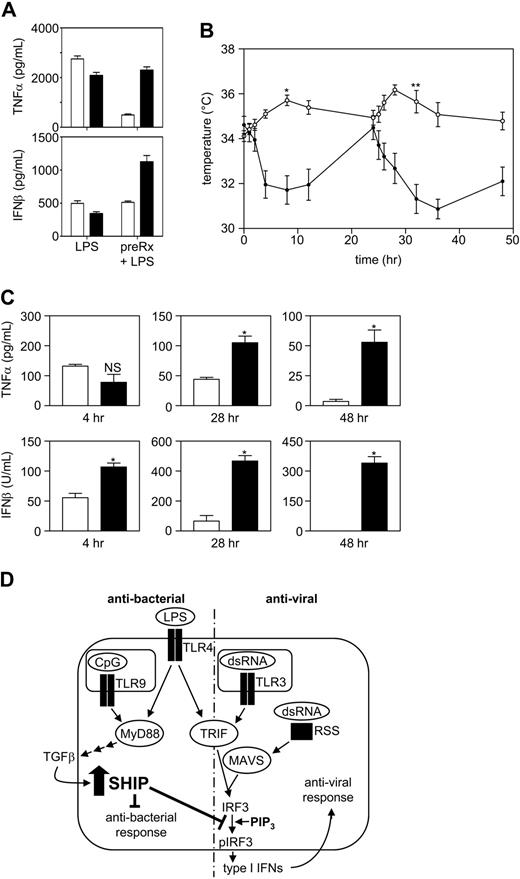 Figure 7. SHIP−/− mice have an inappropriate and robust antiviral response to LPS. (A) SHIP+/+ (□) and SHIP−/− (■) Pmφs with or without 24 hours pretreatment with 10 ng/mL LPS were challenged with 10 ng/mL LPS. At 24 hours, supernatants were assessed for IL-6 (left panel) and TNF-α (right panel). Results are the mean plus or minus SEM for 3 independent experiments assayed in duplicate. *P < .01 compared with LPS tolerized cells. (B) SHIP+/+ (open symbols) and SHIP−/− (closed symbols) mice were injected IP with 1 mg/kg LPS at time 0 and 24 hours. Mouse core temperature was monitored using a rectal thermometer at time 0, 1, 2, 4, 8, 12, and 24 hours after each injection. Values are the mean plus or minus SEM for 6 mice of each genotype. *P < .001, **P < .001, SHIP+/+ vs SHIP−/− mice. (C) SHIP+/+ (□) and SHIP−/− (■) mouse blood was collected from the tail vein 4 hours after the first or second injection (28 hours) of LPS and by cardiac puncture after death 24 hours after the second dose of LPS (48 hours) and sera assessed for TNF-α and IFN-β by ELISA. Results are the mean plus or minus SEM for 3 mice at 4 and 28 hours and for 6 mice at 48 hours. *P < .01 compared with SHIP+/+ serum. NS indicates not significant. (D) A model to explain why Gram-negative bacteria do not trigger an antiviral response whereas viruses do, even though both stimulate the TRIF pathway. LPS triggers the production and secretion of TGF-β via the MyD88-dependent pathway. TGF-β then acts in an autocrine manner to up-regulate SHIP. The up-regulation of SHIP is critical to block a subsequent exposure to LPS or dsRNA from amplifying the transcription of IFN-β.