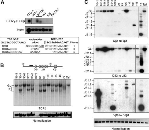 Figure 5. Rearrangements in RAG1-S723C thymocytes and RAG1-S723C/p53 double-mutant thymic lymphomas. (A) TCRγV3S1 (chr 13) to TCRβJ2S7 (chr 6) interchromosomal trans-rearrangements were PCR amplified from genomic thymocyte DNA isolated from mice of the indicated genotypes (top panel). S723C indicates RAG1S723C/S723C; Kid, kidney. Products corresponding to trans-rearrangements were detected by Southern blot analysis. Levels of rearrangements were normalized to PCR amplification of a nonrearranging locus (middle panel). Representative results are shown. Vertical lines have been inserted to indicate repositioned gel lanes. PCR products corresponding to TCRγV3-TCRβJ2 rearrangements in RAG1-S723C thymocytes were subcloned and sequenced (bottom panel). Coding sequences for TCRγV3 and TCRβJ2 are shown in boxes (bold); nucleotides added (center column) include P nucleotides (underlined) and N nucleotides; number of clones of each sequence are indicated. (B) Genomic DNA isolated from RAG1-S723C/p53 double-mutant lymphomas was digested with EcoRI then analyzed by Southern blot. Dβ1 to Jβ1 rearrangements were detected using a probe located 5′ of the Dβ1 segment (diagram). Individual tumors are indicated, top. C indicates wild-type thymus DNA; Kid, nonrearranging tissues; GL, unrearranged, germline band; and R, D-Jβ1 rearrangements. Amounts of input DNA were normalized to a nonrearranging locus (LR8). (C) PCR amplification of Dβ1 to Jβ1, Dβ2 to Jβ2, and Vβ8 to DJβ1 rearrangements were performed as described in Figure 2A using genomic DNA (250 ng) isolated from RAG1-S723C/p53 double-mutant lymphomas (tumor numbers indicated, top), wild-type thymocytes (C), and a nonrearranging tissue (tail). Input DNA levels were normalized to a nonrearranging locus (ATM). Vertical lines have been inserted to indicate repositioned gel lanes.