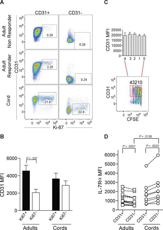 Figure 2. IL-7–induced proliferation of adult naive CD4+ T cells is restricted to the CD31+ subset. (A) Representative dot-plots of CD31 and Ki67 flow cytometry analysis after 7-day culture in the presence of IL-7 of purified CD31+ and CD31− naive CD4+ T-cell subsets from adult peripheral blood, for an IL-7 “nonresponder” (top panel), an IL-7 “responder” (middle panel), and CB (bottom panel). Cells were successively gated on a viable lymphogate, CD3+, CD4+, and CD45RA+. (B) CD31 MFI was assessed within the purified CD31+ naive subset further gated on Ki67+ or Ki67− cells after 7-day culture with IL-7. Three adults and 4 CB samples were studied. (C) Representative dot-plot illustrating CD31 expression plotted against CFSE labeling of CB CD4+CD45RA+ T cells cultured with IL-7 for 7 days. CD31+ cells were further gated according to the number of cell divisions, and bars show CD31 MFI from 4 experiments. (D) Ex vivo analysis of IL-7Rα MFI on freshly isolated mononuclear cells from adult and CB samples sequentially gated on CD3+, CD4+, CD45RA+, and CD31+ or CD31− lymphocytes. Each symbol represents one individual. Bars represent mean plus or minus SEM. Data were compared using paired or unpaired t test as appropriate and significant P values are shown.