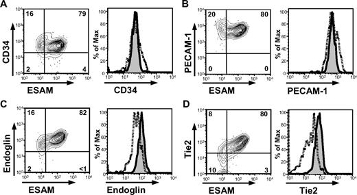 Figure 3. Expression of ESAM and other endothelial antigens on fetal liver HSC fraction. The expression pattern of ESAM on Rag1/GFP− c-kitHi Sca1+ cells of E14.5 fetal liver was compared with other endothelial cell-related antigens, CD34 (A), CD31/PECAM1 (B), Endoglin (C), and Tie2 (D). The percentage of cells in subpopulation is shown. In the histograms, the staining patterns of ESAM−/Lo cells are indicated with dashed lines; those of ESAMHi cells are tinted and indicated with solid lines.