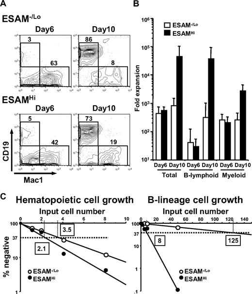 Figure 5. ESAM expression enriches primitive progenitors endowed with lymphopoietic activity. (A,B) A total of 500 ESAM−/Lo or ESAMHi cells of the Rag1/GFP− ckitHi Sca1+ fraction of E14.5 fetal liver were cultured with MS5 stromal cells in the presence of SCF, Flt3-ligand, and IL-7. At the indicated period, recovered cells were counted and subjected to flow cytometry (A). Yields of total cells, CD19+ Mac1− B-lineage cells, and Mac1+ CD19− myeloid-lineage cells per 1 input ESAM−/Lo or ESAMHi progenitor were calculated and given as averages with SD bars (B). (C) Limiting dilution analyses were performed in the MS5 coculture system to determine the frequency of hematopoietic progenitors (left) and that of progenitors endowed with lymphopoietic potential (right).