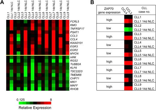 Figure 1. DNA microarray analysis identifies a homogeneous gene expression response of CLL cells after coculture with NLCs. (A) These heatmaps depict the top 10 genes that are up-regulated (top 10 rows of the graph) or down-regulated (bottom 10 rows) in 9 different CLL cell samples before and after 14 days of coculture with NLCs (14d NLC). The changes in gene expression are depicted for each gene relative to its expression level immediately after Ficoll isolation and CD19 purification and before initiation of NLC cultures (black squares). Shades of red and green indicate up- or down-regulation, respectively, of a given gene according to the color scheme displayed below the heatmaps. Displayed are the expression responses in 9 different CLL patient samples, as indicated on the top horizontal axis. (B) To illustrate the correlation between ZAP-70 expression and CCL3 and CCL4 induction, ZAP-70 gene expression in individual CLL cases was classified as high or low, as determined by microarray analysis and correlated with CCL3 and CCL4 expression before and after NLC coculture. In CLL cases with high ZAP-70 gene expression (cases 1, 3, 6, 7, and 9), NLC coculture uniformly induced a robust expression of CCL3 and CCL4, whereas in cases with low ZAP-70 gene expression the response was more heterogeneous (no induction of CCL3 and CCL4 in case 2; intermediate induction in cases 4, 5, and 8).