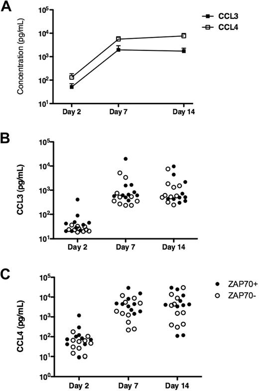 Figure 2. Induction of CCL3 and CCL4 protein expression in CLL-NLC cocultures. CLL PBMCs were placed in long-term cultures with outgrowth of NLCs, as described in “RNA isolation from CLL B cells before and after NLC coculture.” To determine the kinetics of induction of CCL3 and CCL4 protein expression, we analyzed supernatant samples at the time points indicated on the horizontal axis by ELISA. (A) The different symbols that are connected by the lines represent the mean CCL3 and CCL4 concentrations in 20 different CLL patients' samples at the indicated time points. In accordance with the microarray data, we found higher CCL4 protein expression compared with CCL3. (B,C) The individual protein expression data for CCL3 and CCL4 in the 20 CLL cases are displayed in dot plot diagrams. ZAP-70+ cases (•) can be distinguished from ZAP-70− cases (○).