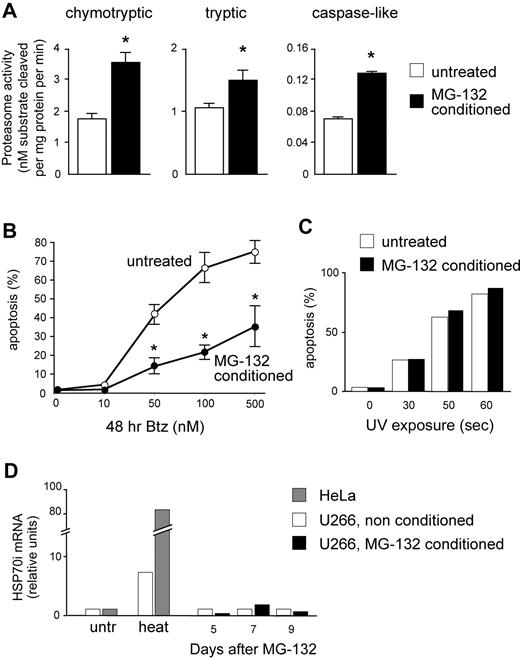 Figure 5. Increasing proteasome expression specifically enhances resistance toward PIs. U266 cells were treated for 5 days with low, nontoxic doses of MG-132 (2 days at 1 nM followed by 3 days at 10 nM). Cells were then washed and cultured in fresh media for 4 more days, and then assayed for overall proteasome activity and apoptotic sensitivity to bortezomib. (A) Significant increases of proteasome-specific activities in MG-132–conditioned MMCs. Conditioning treatment resulted in doubled chymotryptic and caspase-like activities, and an approximately 50% increase in trypsin-like activity. *P < .05. (B) Conditioned cells show enhanced PI resistance. MG-132–conditioned and vehicle-treated cells were exposed to the indicated doses of bortezomib (Btz) for 48 hours, and apoptosis was assessed by FACS as the proportion of annexin V+ propidium iodide− cells. The line graph averages (± SD) 2 representative experiments. P < .05. (C) Conditioned cells are not protected from UV-induced apoptosis. MG-132–conditioned and vehicle-treated cells were exposed to UV rays for the indicated times, and apoptosis assessed after 24 hours as in panel B. One representative experiment is shown. (D) MG-132 conditioning treatment fails to induce a detectable heat shock response. MG-132–conditioned and vehicle-treated cells were sampled at the indicated days from the beginning of the treatment, and mRNA levels for inducible HSP70 was quantitated by real-time RT-PCR. A total of 1 hour of exposure to 43°C (heat) significantly increased HSP70i mRNA in U266 and HeLa cells. One representative experiment is shown.