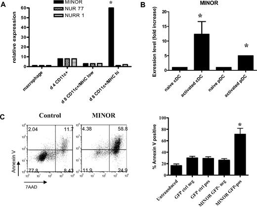 Figure 1. MINOR expression is highly up-regulated in activated DC populations in vitro and in vivo, and its forced expression induces apoptosis in DC2.4 cells. (A) Day-4 BM-derived CD11c+ cells (D4 CD11c+), immature (D8 CD11c+MHClowCD86low), and activated (D8 CD11c+MHC IIhighCD86high) BMDCs were FACS-sorted and examined for their expression of MINOR, Nur77, and Nurr1 using real-time quantitative RT-PCR as described in “Quantification of transcripts.” Transcript levels were normalized to β-actin. Expression levels are expressed as fold increase compared with those of activated macrophages. (B) The results of experiments in which mice were injected with vaccinia virus to induce activation in vivo, and splenic DCs were then sorted based on their expression of CD86, CD11c, and B220 into naive and activated populations of conventional or plasmacytoid DCs, which were then analyzed for MINOR expression by quantitative PCR. Transient expression of MINOR induced DC2.4 apoptosis. GFP-control (left panel) and GFP-MINOR-expressing (right panel) DC2.4 cells were analyzed for apoptotic markers using FACS analysis, shown in panel C. A representative FACS plot of annexin V versus 7-AAD staining is shown along with a statistical analysis of results of 3 different experiments. *P < .05, analysis of variance or t test.