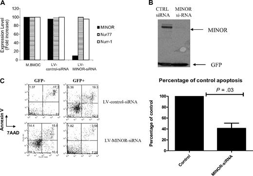Figure 2. LV-MINOR-siRNA suppressed MINOR expression in DCs and dampened DC apoptosis. BMDCs were transduced with either LV-MINOR-siRNA or LV-control-siRNA. Expression of MINOR, Nur77, and Nurr1 was assessed by real-time quantitative RT-PCR as shown in Figure 2A. Western blot analysis of MINOR was also conducted; relative expression of MINOR and GFP (as a control for equal loading, expressed by the vector) is shown in Figure 2B. Representative FACS plots of annexin V versus 7-AAD staining of LV-MINOR-siRNA– or LV-control-siRNA–transduced BMDCs are shown in Figure 2C. (Top panel) LV-control-siRNA–transduced cells. (Bottom panel) LV-MINOR-siRNA–transduced cells. (Left panel) GFP-negative (untransduced control) cells. (Right panel) GFP-positive cells. Results of a statistical analysis using a t test are shown in the graph for 3 separate experiments.