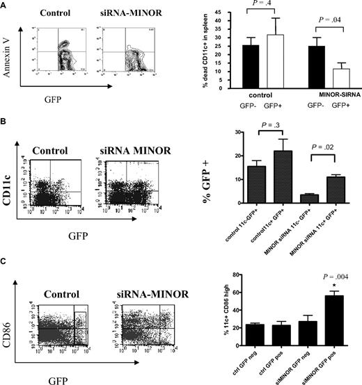 Figure 3. In vivo silencing of MINOR promoted DC survival. Mice received BM transplants with either LV-MINOR-siRNA– or LV-control-siRNA–transduced HSCs as described in “Bone marrow transplant and transduction of HSCs.” (A) Representative plots and an analysis of percentages of apoptotic DCs collected ex vivo during purification from spleens of those mice. (B) Representative plots and percentages of GFP-positive cells in total DC population in mice that received transplants showing that there was a bias toward retention of MINOR-inhibited CD11c+ cells. (C) Representative FACS plots of CD86 surface expression on DCs derived from the mice that received transplants indicating a higher level of CD86 expression in MINOR-inhibited CD11c+ cells. Statistical analyses were conducted on results of 2 separate experiments. *P < .05, analysis of variance or t test.