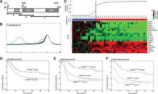 Figure 1. Schematic overview of dHPLC analysis, gene expression profiling analysis, and survival estimates. (A) Schematic representation of the CEBPA gene and location of amplicons a, b, and c for polymerase chain reaction, used for dHPLC analysis. Functional regions are depicted: 2 transactivation domains (TAD1 and TAD2) in the N-terminal part, and the bZIP region in the C-terminal part. Nucleotide (nt) position is indicated relative to the main translation start site. Amino acid (aa) numbering and the alternative translation start site at position nt 358 (aa 120) are also depicted. (B) Representative profiles of dHPLC analysis of 1 of the 3 investigated fragments (ie, amplicons b) in a random selection of approximately 90 samples. Heteroduplexes (various colors) are released earlier than homoduplexes (green) and can therefore be recognized as distinct peaks. Time is depicted on the x-axis, and absorbance on the y-axis. (C) A gene expression prediction signature for CEBPAmut AML (irrespective of single- or double-mutant status) was derived in a dataset of 524 AMLs, including 38 CEBPAmut cases. Prediction accuracy for each of the 38 CEBPAmut cases was estimated using repeated 10-fold cross-validation, as detailed in supplemental data. The proportion of correct predictions for the selected 38 CEBPAmut specimens is indicated (top panel). Mutation status is color coded (CEBPAsingle-mut, blue; CEBPAdouble-mut, red). The heatmap in the bottom panel depicts the 19 probe sets in the resulting CEBPAmut gene expression classifier (Table S2, probe set information). Intensity values (log2) were mean centered over the cohort of 524 AML cases; and for visualization purposes, the genes were hierarchically clustered (Euclidian distance, average linkage). Cells represent relative log 2 expression values and have been color coded on a scale ranging from bright green (−3) to bright red (+3), with black indicating no change relative to the mean. (D) Kaplan-Meier estimates of overall survival among CEBPAmut and CEBPAwt AML (log rank test, P = .027). (E) Overall survival among CEBPAdouble-mut versus CEBPAwt AML (P = .004) and versus CEBPAsingle-mut AML (P = .005; pooled P = .012). (F) Event-free survival (EFS) among CEBPAdouble-mut and CEBPAwt AML (P = .005) and versus CEBPAsingle-mut AML (P = .004; pooled P = .008). The cumulative proportion of survival at the intercept (the point where a line crosses the y-axis) reflects the proportion of patients reaching complete remission. Analyses similar to those depicted in panels D-F were performed after splitting the group of CEBPAwt AMLs into those with favorable cytogenetics and those with other cytogenetics. These additional analyses can be found in Figure S4.