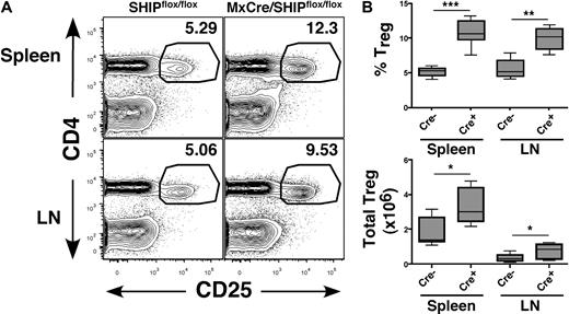 Figure 2. Induction of SHIP deficiency expands the CD25+FoxP3+ Treg compartment in peripheral lymphoid organs. Spleen and mesenteric LN of polyI/C-treated MxCreSHIPflox/flox (Cre+, n = 6) and SHIPflox/flox (Cre−, n = 9) were harvested and processed into single-cell suspensions. Frequency and absolute numbers of CD4+CD25+FoxP3+ Tregs were assessed by flow cytometry, as described in Figure 1. (A) Representative CD4 versus CD25 staining in spleen and LN from MxCreSHIPflox/flox and SHIPflox/flox mice after poly(I/C) administration. (B) Percentage frequency of CD4+CD25+FoxP3+ Tregs after gating on CD3+ T cells, and total absolute CD3+CD4+CD25+FoxP3+ Treg numbers in the spleen and LN of the indicated genotype. *P < .05. **P < .01. ***P < .001.