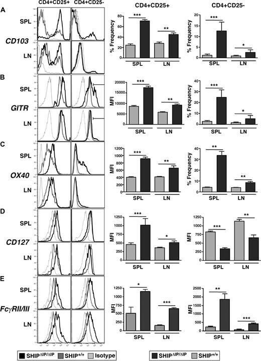 Figure 3. SHIP deficiency promotes the alteration of surface marker expression in the CD4+ T-cell compartment. Spleens and mesenteric LN of SHIPΔIP/ΔIP (n = 6) and WT (n = 6) littermates were harvested from 6- to 9-week-old mice and prepared into single-cell suspensions. Cells were then stained with and analyzed using fluorescently conjugated antibodies against CD3, CD4, CD25 with CD103, GITR, OX40, CD127, and FcγRII/III. (A) Representative histogram of CD103 expression levels on viable CD3+CD4+CD25+ (CD25+) or CD3+CD4+CD25− (CD25−) T cells from spleen and LN of the indicated genotype. Bar graph representing percentage frequency of CD103+ T cells among viable CD25+ or CD25− T cells from the spleen and LN of the indicated genotype. (B) Representative histogram of GITR expression on viable T cells as in panel A. Bar graph representing mean fluorescence intensity of GITR expression on viable CD25+ T cells from spleen and LN of the indicated genotype. Bar graph representing percentage frequency of GITRhi (as determined by depicted gate in histogram) T cells among viable CD25− T cells. (C) Same as in panel B, but for OX40 expression. (D) Representative histogram of CD127 (IL-7R) expression on viable T cells as in panels A to C. Bar graph representing mean fluorescence intensity of CD127 expression on viable CD25+ or CD25− T cells from spleen and LN of the indicated genotype. (E) Same as in panel D, but for FcγRII/FcγRIII expression. *P < .05. **P < .01. ***P < .001.