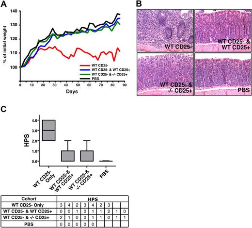 Figure 5. SHIP-deficient CD4+CD25+ Tregs exhibit normal immunoregulatory capacity in vivo. C57BL/6J SCID hosts received 4 × 105 CD3+CD4+CD25− T cells from WT C57BL/6J donors by intraperitoneal injection on day 1 (n = 7). Where indicated, the WT effector CD3+CD4+CD25− T cells were coinjected with 7 × 104 CD3+CD4+CD25+ Tregs from WT or SHIP−/− C57BL/6J donors into C57BL/6J SCID hosts (n = 9). In parallel, a control group of C57BL/6J SCID hosts received a PBS injection (n = 5). Disease and weight were monitored every other day. (A) Analysis of the rate of weight change over the course of the study (3 months) in the cohorts that received WT effector CD3+CD4+CD25− T cells only (labeled WT CD25−), or effector WT CD3+CD4+CD25− T cells with WT or SHIP−/−CD3+CD4+CD25+ Tregs (labeled WT CD25− and WT CD25+ or WT CD25− and −/− CD25+, respectively), or PBS. The weight change depicted was determined by converting each actual weight to a percentage of that mouse's initial weight. Each line depicts the average weight change for the specified cohort (P < .001, WT CD25− vs WT CD25− and WT CD25+, WT CD25− vs WT CD25− and SHIP−/− CD25+, and for WT CD25− vs PBS; P > .1 for WT CD25− and WT CD25+ vs WT CD25− and SHIP−/− CD25+, WT CD25− and WT CD25+ vs PBS, and for WT CD25− and SHIP−/− CD25+ vs PBS). (B) Histologic appearance of the colon (hematoxylin and eosin, ×200) from a mouse in the WT CD25− (top left; HPS = 3), WT CD25− and WT CD25+ (top right; HPS = 1), WT CD25− and −/− CD25+ (bottom right; HPS = 1), and PBS (bottom left; HPS = 0) cohorts. Histology micrographs were taken using a Leica DMLB microscrope (N PLAN 20×/0.40, total magnification ×200, at room temperature), and a SPOT Insight QE Model 42 camera with Spot Advanced acquisition software (Diagnostic Instruments, Sterling Heights, MI). (C) Box and whisker plots and table summarizing the histopathology scores (HPS) given to the hosts within each cohort. The HPS was determined by grading the histologic appearance of the colon using the following criteria: grade 0 indicates unaffected proximal colon; grade 1, mild leukocyte infiltration of the lamina propria (not shown); grade 2, moderate leukocyte infiltration of the lamina propria, mild reduction of goblet cells, and mild crypt epithelial regenerative hyperplasia; grade 3, marked leukocyte infiltration beyond the muscularis mucosa into a thickened submucosa, goblet cell depletion, and epithelial regenerative hyperplasia with atypia; grade 4, marked transmural leukocyte infiltration deep into a thickened submucosa and tunica muscularis with increased vascular density, marked goblet cell loss, and epithelial regenerative hyperplasia with atypia used to determine histopathologic score (HPS). P < .001, WT CD25− versus WT CD25− and WT CD25+, WT CD25− versus WT CD25− and SHIP−/− CD25+, and for WT CD25− versus PBS; P > .5 for WT CD25− and WT CD25+ versus WT CD25− and SHIP−/− CD25+.
