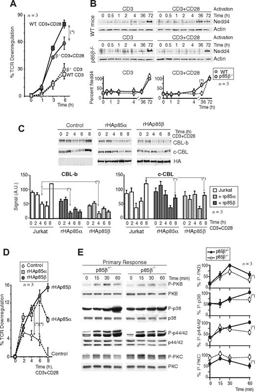 Figure 5. p85β overexpression enhances CBL-b and TCR down-regulation. (A) TCR down-modulation was measured by flow cytometry in purified peripheral CD8+ T cells from p85β−/− and p85β+/− F5TCRTg mice stimulated in vitro with CD3 or CD3+CD28 for the times indicated. TCR down-regulation was estimated as the reduction in the mean fluorescence index of TCRβ expression on stimulated CD8+ versus nonstimulated CD8+ T cells (mean ± SD, n = 3). (B) Cells were activated as in panel A, and Nedd4 levels were examined in WB. The graph quantitates the mean plus or minus SD (n = 3) of Nedd4 signal relative to maximal levels (100%). (C,D) Jurkat T cells were transiently transfected with empty vector or rHAp85α or β. Cells were activated as in panel A using CD3+CD28 36 hours after transfection and then collected. We analyzed CBL-b and c-CBL levels in cell extracts by WB (C) or TCR down-modulation as in panel A (D); MFI of TCRβ expression on stimulated CD4+ versus gated nonstimulated CD4+ T cells (mean ± SD, n = 4; D). Graphs (C) show CBL signal intensity in AUs (mean ± SD, n = 3). (E) Purified peripheral CD8+ T cells from p85β−/− and p85β+/− F5TCRTg mice were stimulated in vitro with peptide-pulsed APCs. Cell extracts were examined in WB (indicated). The graphs represent the mean plus or minus SD (n = 3) of the signal for each of the proteins in 3 different assays, compared with the maximal signal (100%) in WT cells at 15 minutes (pPKC), 30 minutes (pPKB), or 1 hour (p-p38, p-p44/42) and normalized in comparison with loading controls (n = 3). P values are shown for the time points of maximal signal in WT cells (*P < .05).