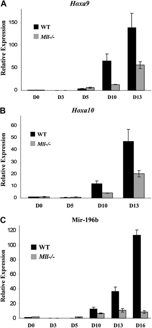 Figure 2. Mir-196b is regulated by Mll during ES cell differentiation, similar to Hoxa9 and Hoxa10. (A,B) Quantitative RT-PCR of Hoxa9 (A) and Hoxa10 (B) mRNA using SYBR green. All values are compared with WT day 0 and this value is set to 1. Experiments were performed in triplicate and the results represent average fold change plus or minus SD. (C) Quantitative RT-PCR of mir-196b expression using mir-196b TaqMan primers and probe.