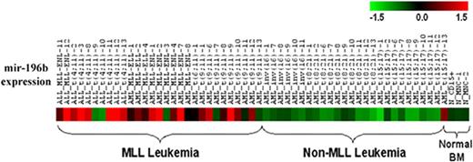 Figure 5. Mir-196b is overexpressed in the majority of MLL-associated leukemias, but not in non-MLL leukemias, irrespective of their phenotype. Heat map of relative mir-196b expression of 55 leukemia samples and 3 normal controls using bead-based technology.