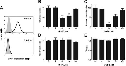 Figure 1. Treatment of endothelial cells with rhaPC prevents B16-F10 adhesion and transmigration. (A) Flow cytometric analysis of EPCR expression in bEnd.3 and B16-F10 cells. EPCR staining (solid line) performed with FITC-labeled anti–mouse mAb (clone RMEPCR1560; StemCell Technologies, Vancouver, BC). Isotype control (IgG2b) is represented by the shaded area. (B) Confluent bEnd.3 monolayers were pretreated with rhaPC (0, 5, 10, 25, 100 nM) for 3 hours and washed. CFDA-SE–labeled B16-F10 melanoma cells were then added to each well. After 1 hour, wells were washed and adherent fluorescent cells were counted. ***P < .001, **P < .01 compared with untreated group. Each dose was tested in quadruplicate. Data are representative of 3 independent experiments. (C) Confluent bEnd.3 monolayers on 8-μm pore Transwell inserts were pretreated with rhaPC for 3 hours. Chambers were washed, and DMEM was supplemented with 15% FCS added to each lower chamber. CFDA-SE–labeled B16-F10 melanoma cells were added to the upper chamber. Cells in the lower chamber were counted 16 hours later. ***P < .001, compared with the untreated group. Each dose was tested in quadruplicate. Data are representative of 3 independent experiments. (D) CFDA-SE–labeled B16-F10 melanoma cells were pretreated with rhaPC for 3 hours, washed, and then applied to confluent bEnd.3 monolayers. After 1 hour, wells were washed thoroughly and adherent fluorescent cells were counted. Each dose was tested in quadruplicate. Data represent 3 independent experiments. (E) B16-F10 melanoma cells were treated with rhaPC (0, 5, 10, 25, 100 nM) 5 times at 1-hour intervals and assessed for viability by MTT assay. Each dose was tested 16 times per experiment. Data are representative of 3 independent experiments. All data reported as mean with standard error.