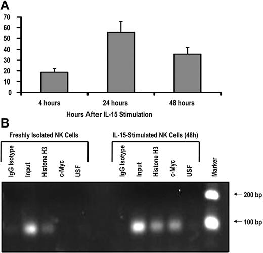 Figure 4. IL-15 increases c-Myc transcription and c-Myc binding to the KIR distal promoter element. (A) KIR-negative NK cells were isolated from adult peripheral blood and cultured in the presence of 10 ng/mL IL-15 for 4, 24, or 48 hours. Cells were harvested at each time point, and c-myc transcript levels were determined by quantitative RT-PCR (n = 3). Samples are normalized to unstimulated peripheral blood NK-cell controls. (B) ChIP analysis of c-Myc binding to freshly isolated KIR-negative NK cells or NK cells stimulated with 10 ng/mL IL-15 for 48 hours. Input sample represents the total input DNA contained in the chromatin aliquot used for each ChIP. Rabbit antibodies used for the IP were purified rabbit IgG (as a negative control), histone H3 (as a positive control), anti-Myc, and anti-USF. Results from a 35-cycle PCR are shown.