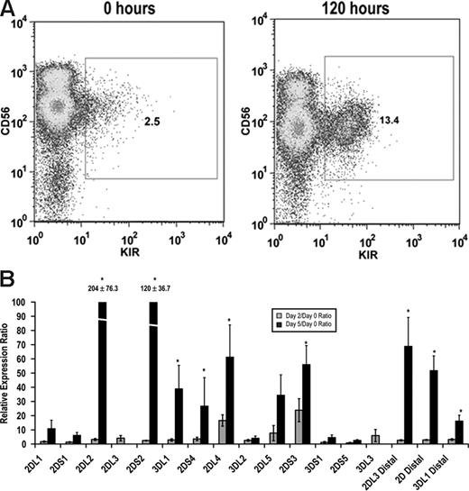 Figure 5. IL-15 induces KIR expression in KIR-negative NK cells. KIR-negative NK cells were isolated from adult peripheral blood and stimulated with 10 ng/mL IL-15 for 48 to 120 hours. (A) FACS analysis was performed at baseline before culture and 120 hours after IL-15 stimulation staining with a cocktail of APC-conjugated NCAM16.2 and PE-conjugated DX9, EB6, GL183, and FES172 monoclonal antibodies (n = 9). (B) Proximal coding KIR transcript and distal KIR transcript levels were measured after 48 and 120 hours by quantitative RT-PCR. Values are presented as a ratio of gene expression after 2 and 5 days compared with gene expression at the initial purification (n = 9). Error bars represent the SEM. *P < .05.